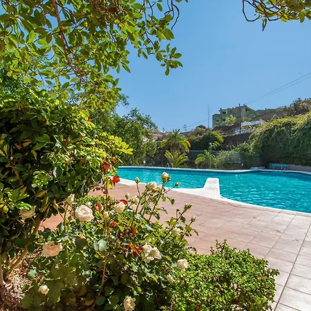 Estudio Bel Air شقة
