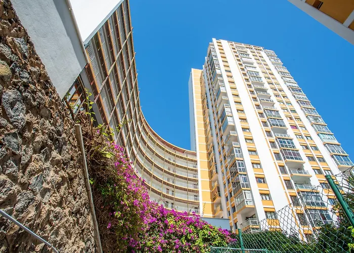 Estudio Bel Air Puerto de la Cruz (Tenerife)