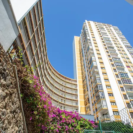 Estudio Bel Air Appartement Puerto de la Cruz (Tenerife)
